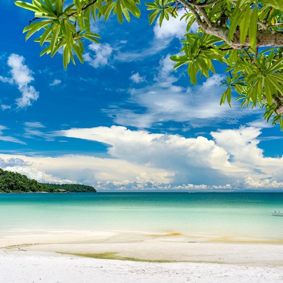 Meet your Posher - Picture 1 of 1